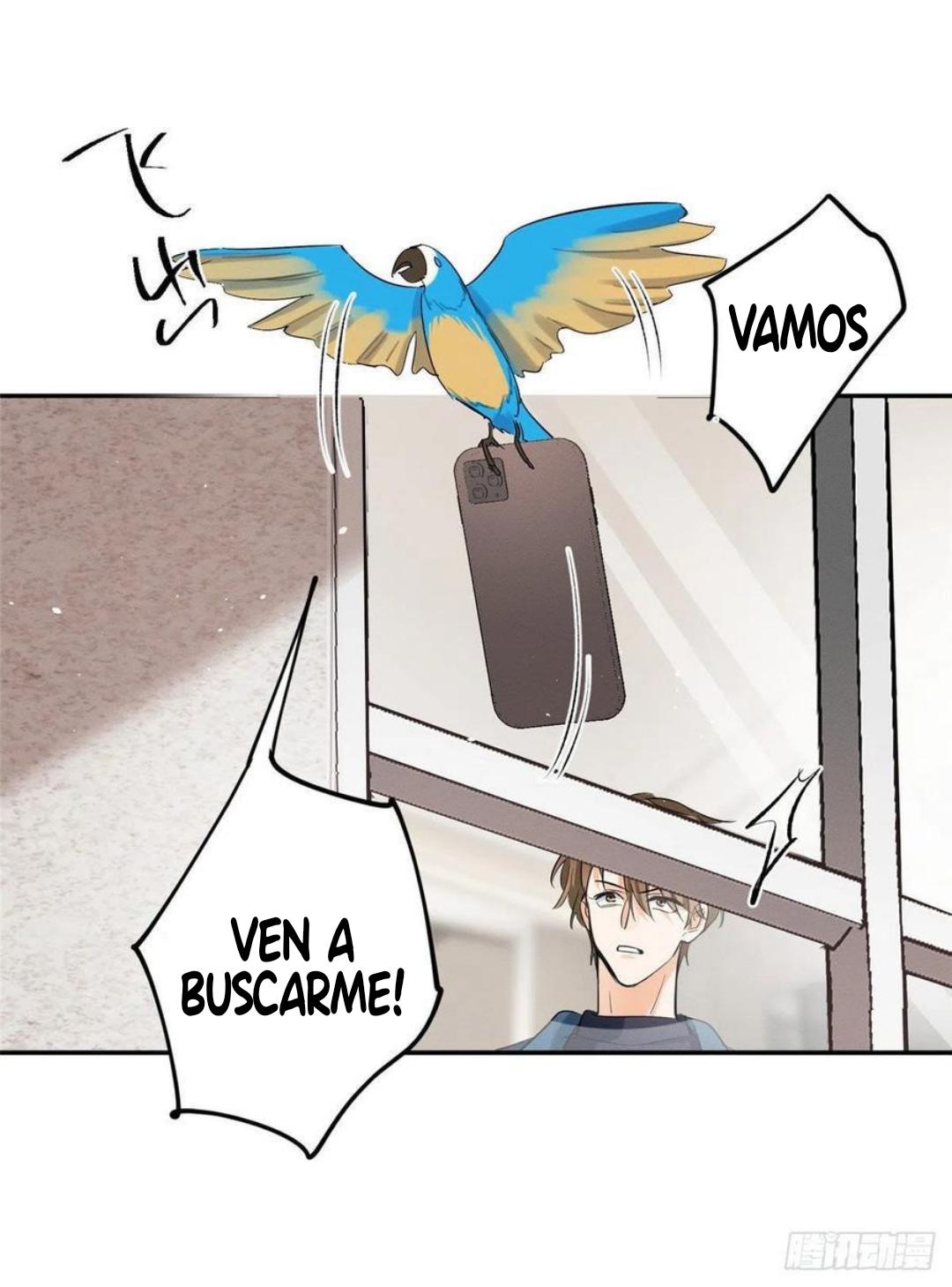 Tengo que trabajar duro para ser un gato hoy! - capitulo 47 manhwa