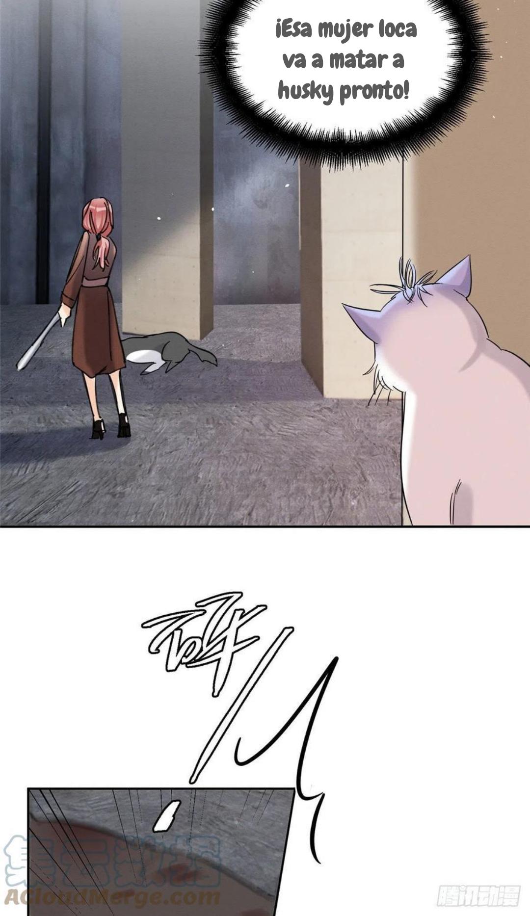 Tengo que trabajar duro para ser un gato hoy! - capitulo 47 manhwa
