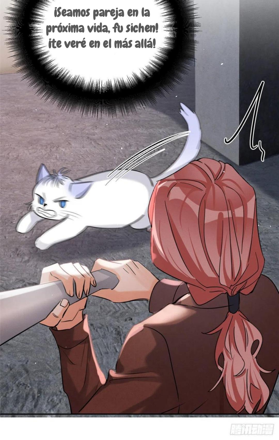 Tengo que trabajar duro para ser un gato hoy! - capitulo 47 manhwa
