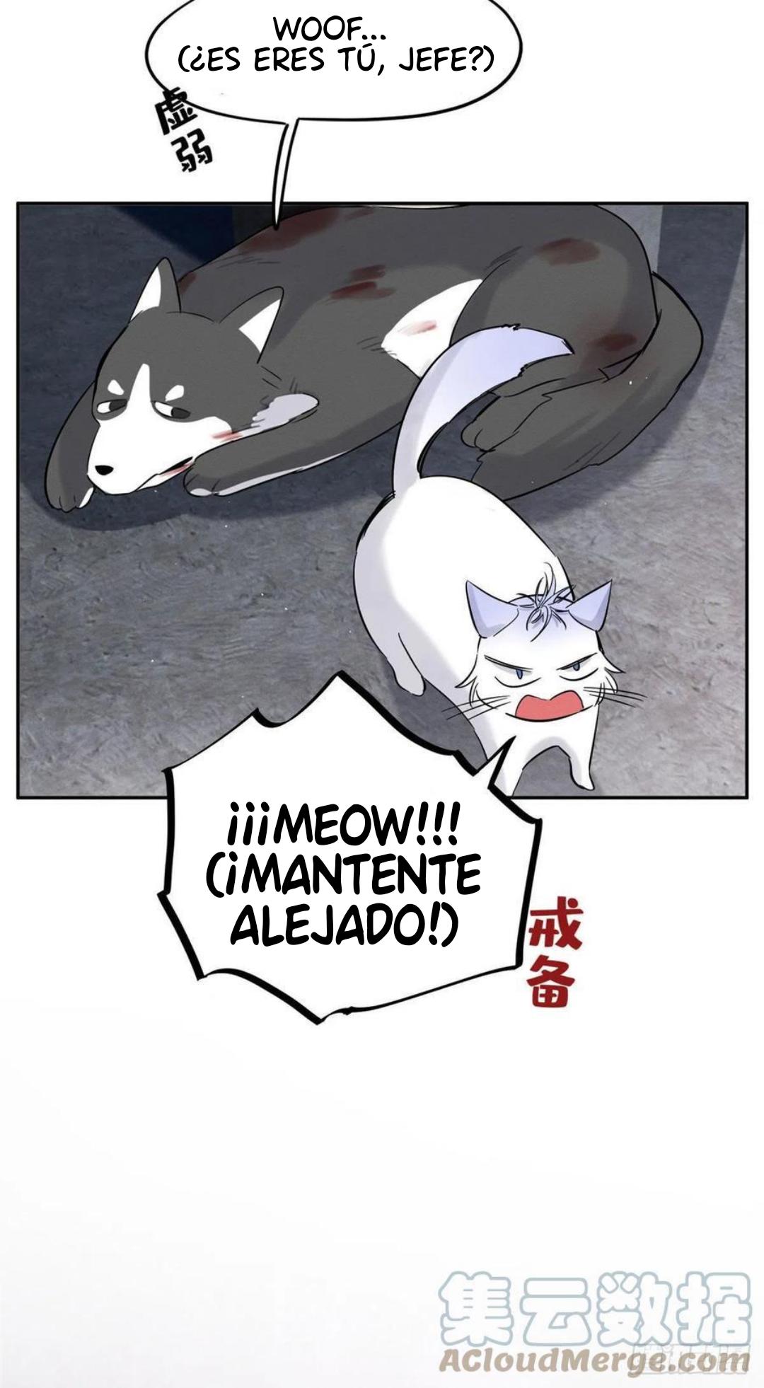 Tengo que trabajar duro para ser un gato hoy! - capitulo 47 manhwa