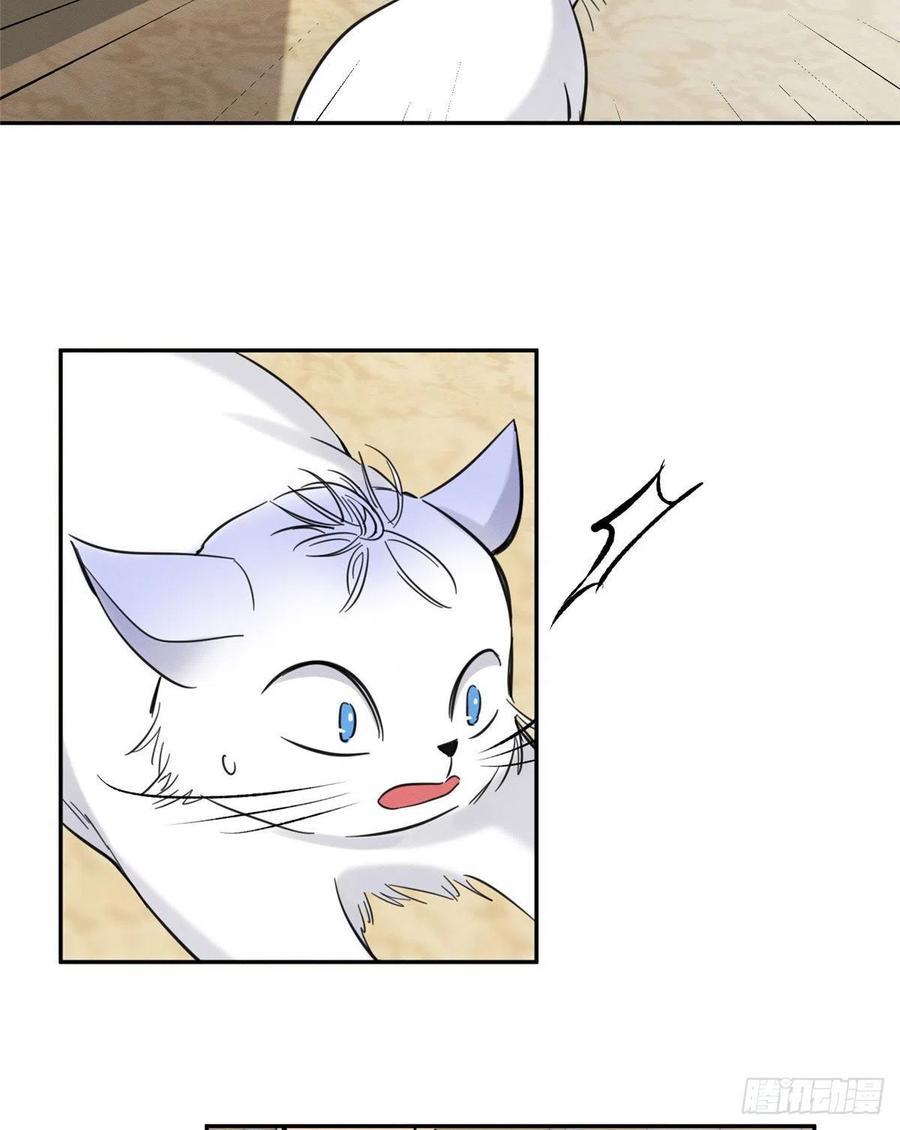 Tengo que trabajar duro para ser un gato hoy! - capitulo 47 manhwa