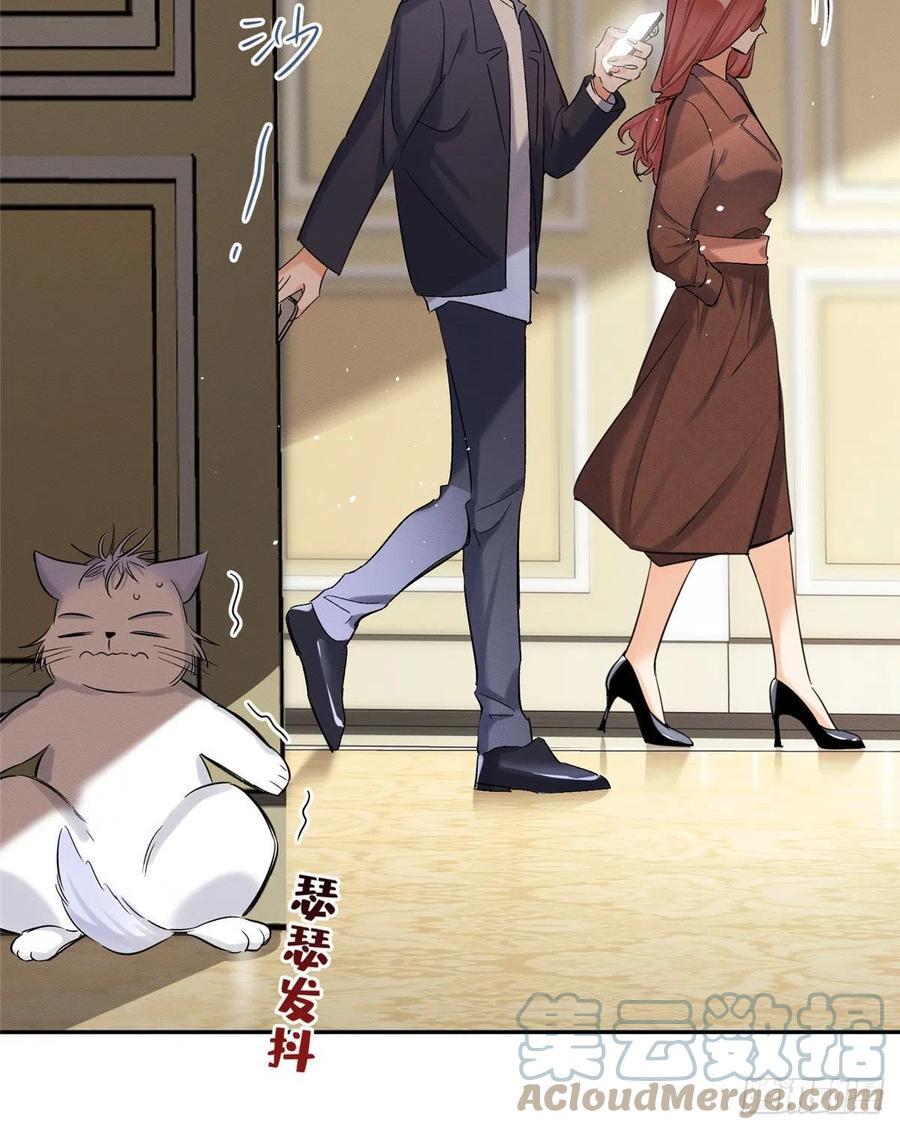 Tengo que trabajar duro para ser un gato hoy! - capitulo 47 manhwa