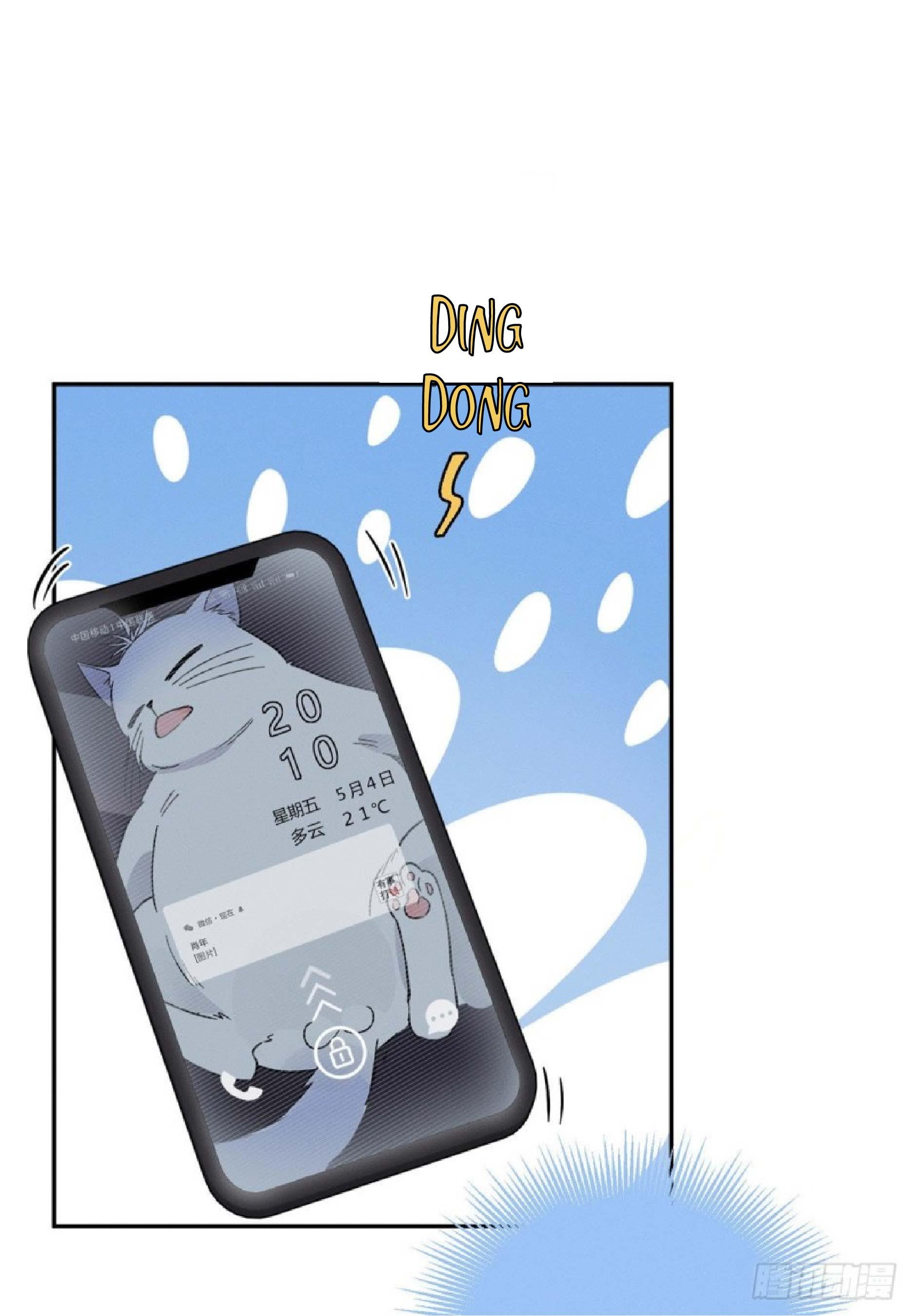 Tengo que trabajar duro para ser un gato hoy! - capitulo 23 manhwa