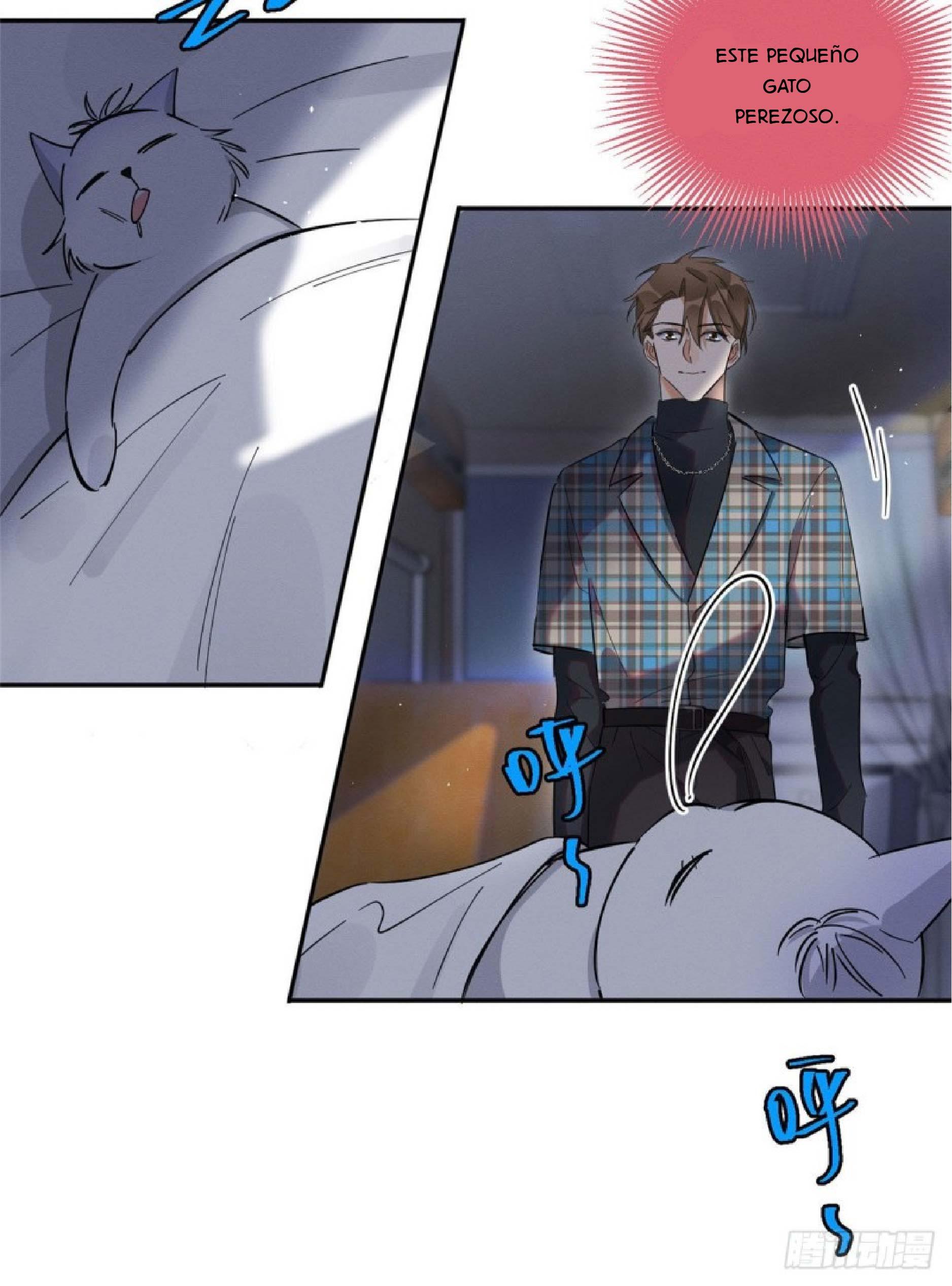 Tengo que trabajar duro para ser un gato hoy! - capitulo 23 manhwa