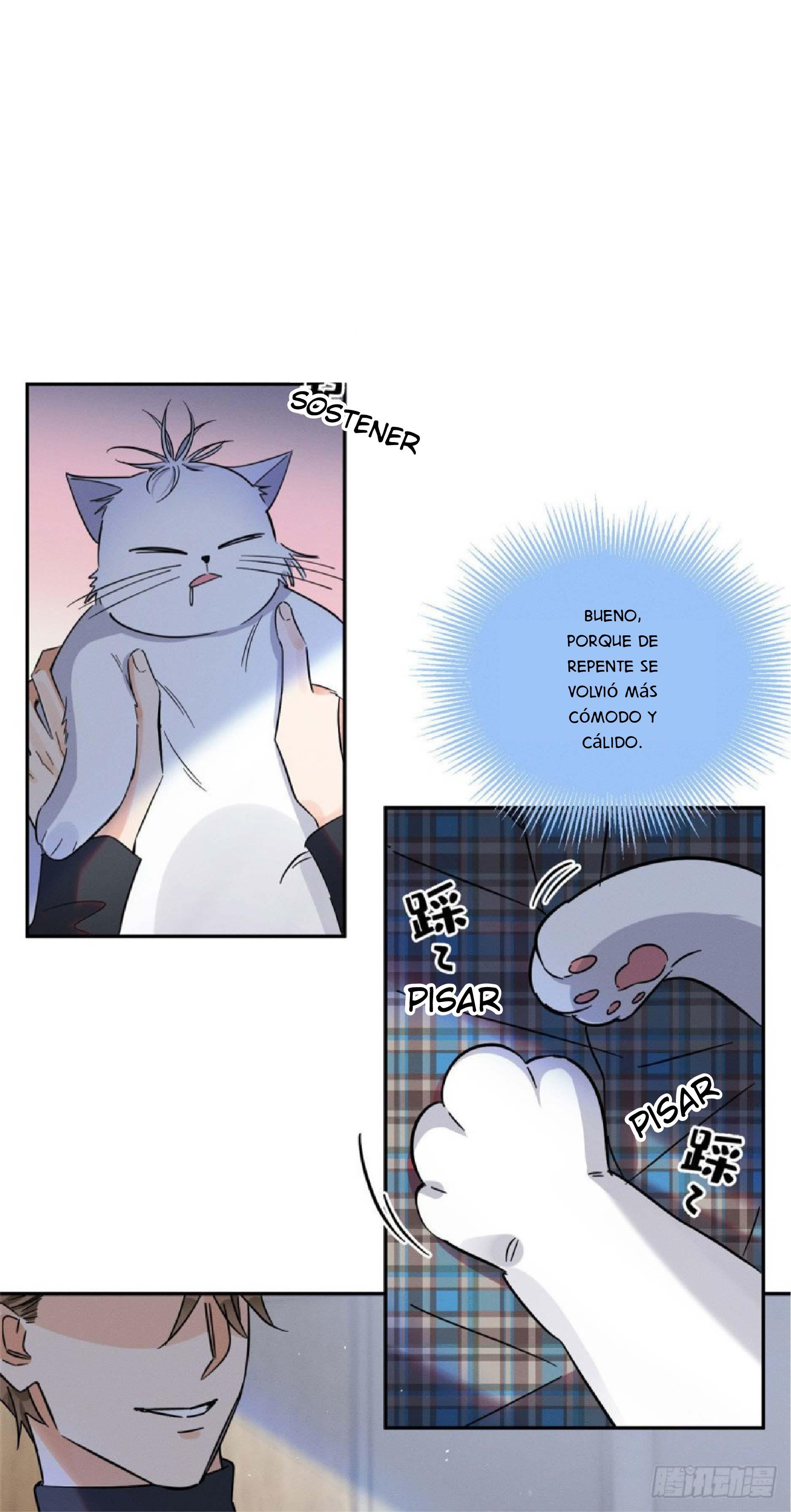 Tengo que trabajar duro para ser un gato hoy! - capitulo 23 manhwa