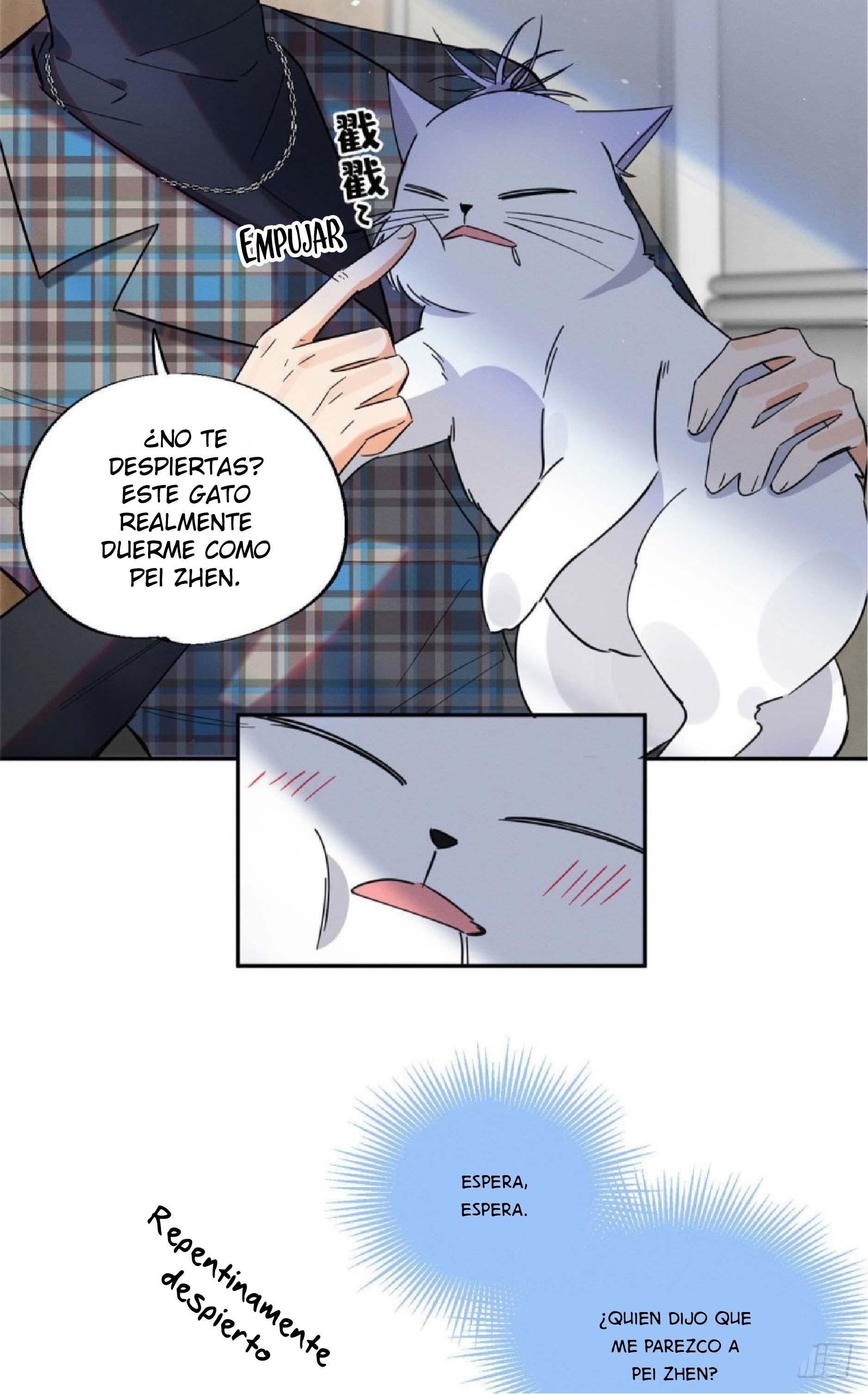 Tengo que trabajar duro para ser un gato hoy! - capitulo 23 manhwa