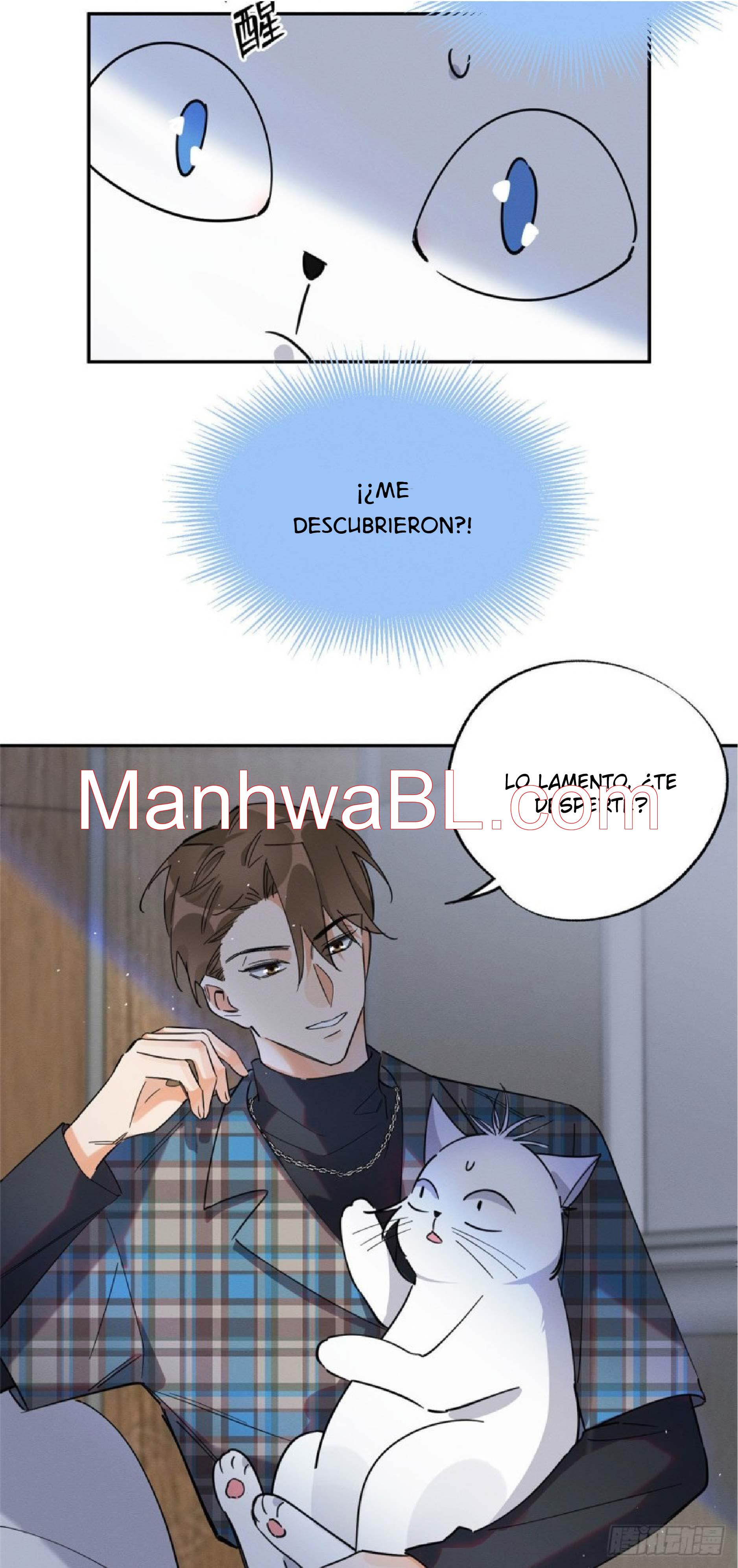 Tengo que trabajar duro para ser un gato hoy! - capitulo 23 manhwa