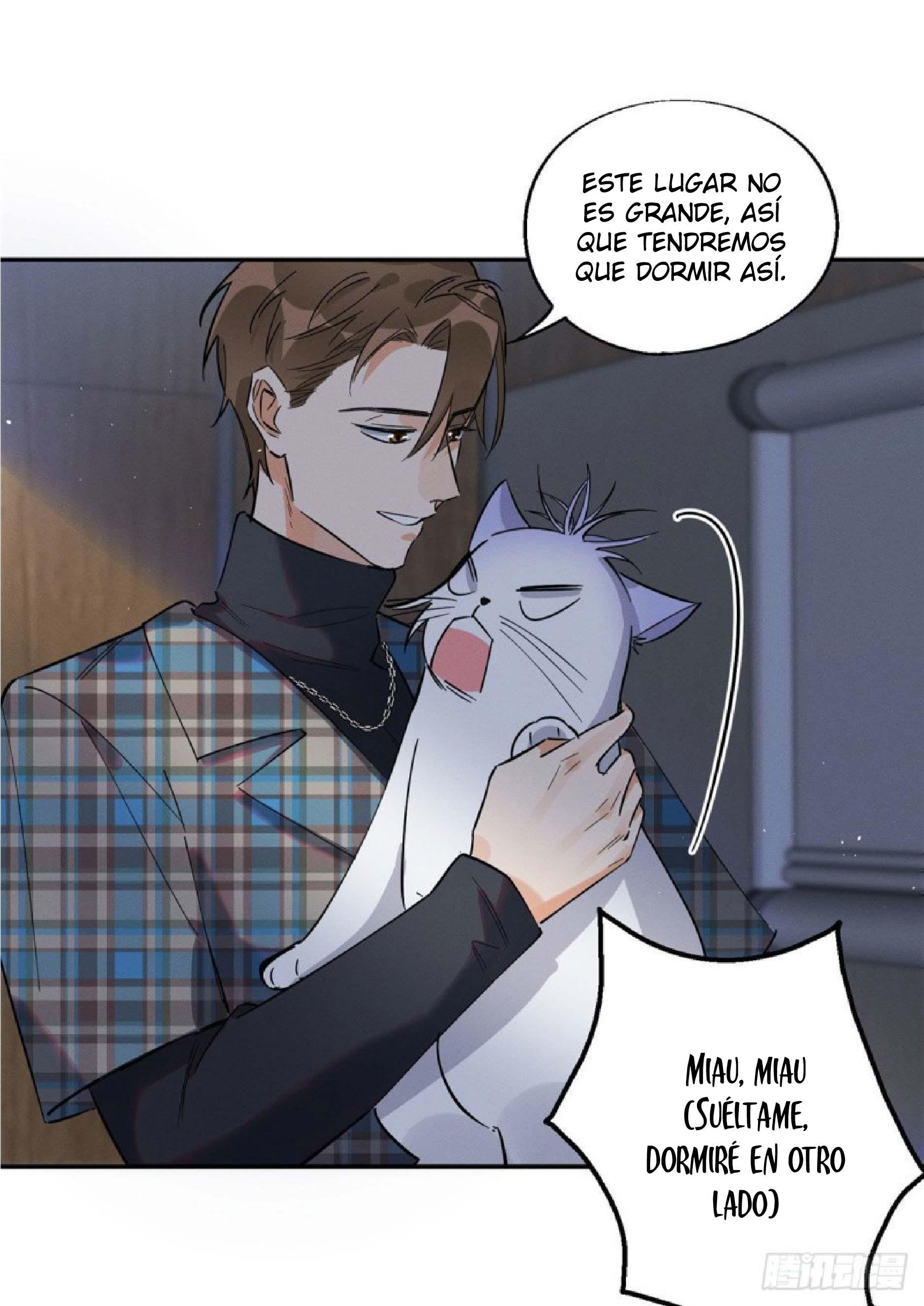 Tengo que trabajar duro para ser un gato hoy! - capitulo 23 manhwa