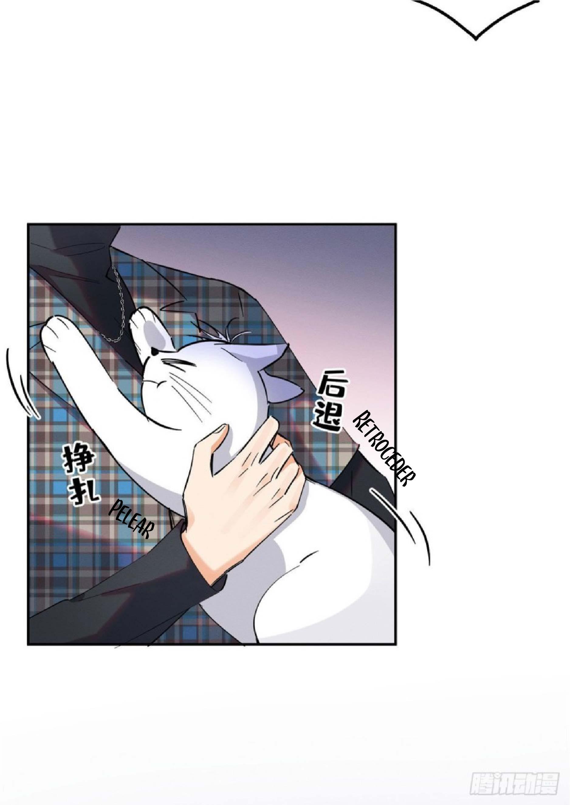 Tengo que trabajar duro para ser un gato hoy! - capitulo 23 manhwa