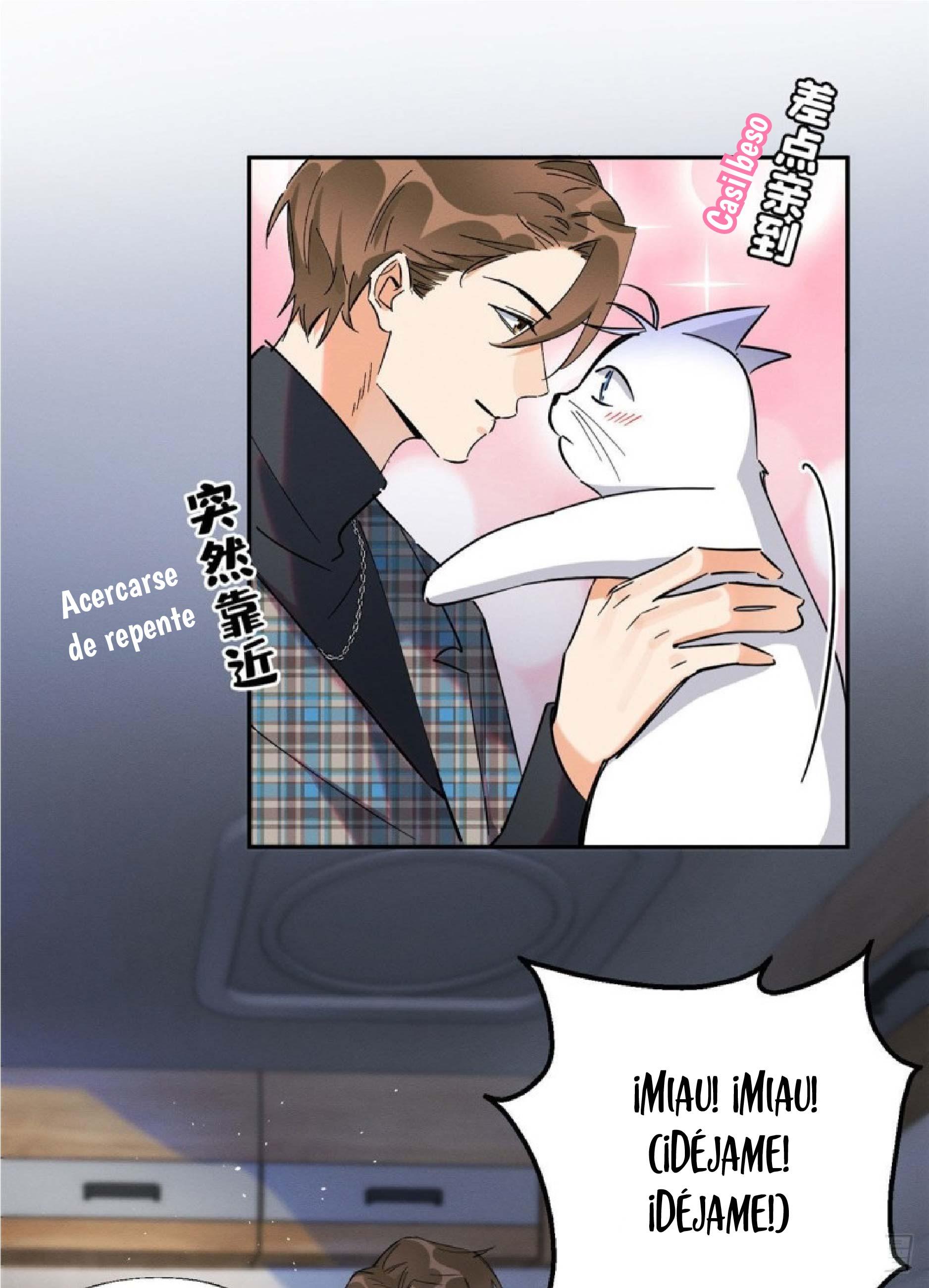 Tengo que trabajar duro para ser un gato hoy! - capitulo 23 manhwa