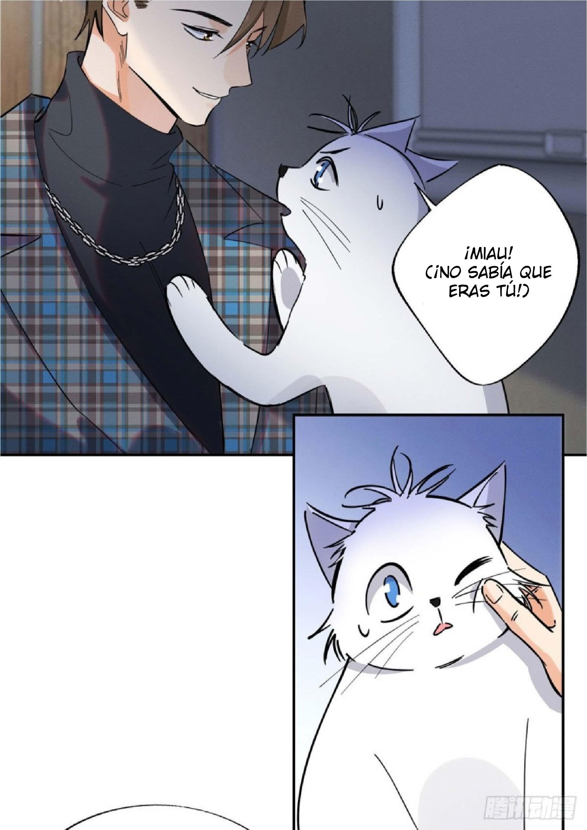 Tengo que trabajar duro para ser un gato hoy! - capitulo 23 manhwa