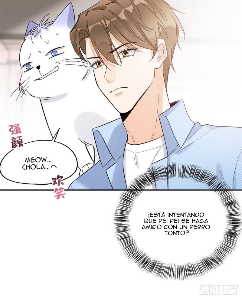 Tengo que trabajar duro para ser un gato hoy! - capitulo 39 manhwa