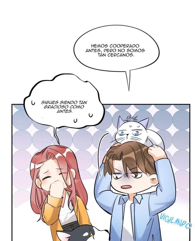 Tengo que trabajar duro para ser un gato hoy! - capitulo 39 manhwa