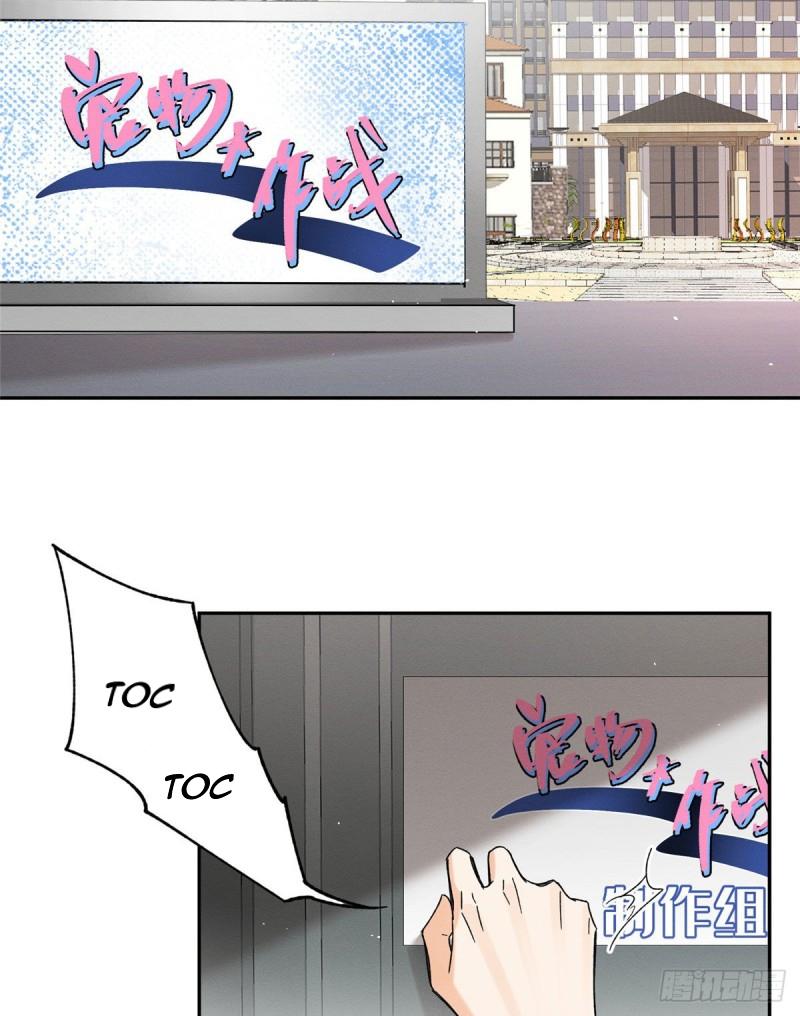 Tengo que trabajar duro para ser un gato hoy! - capitulo 39 manhwa