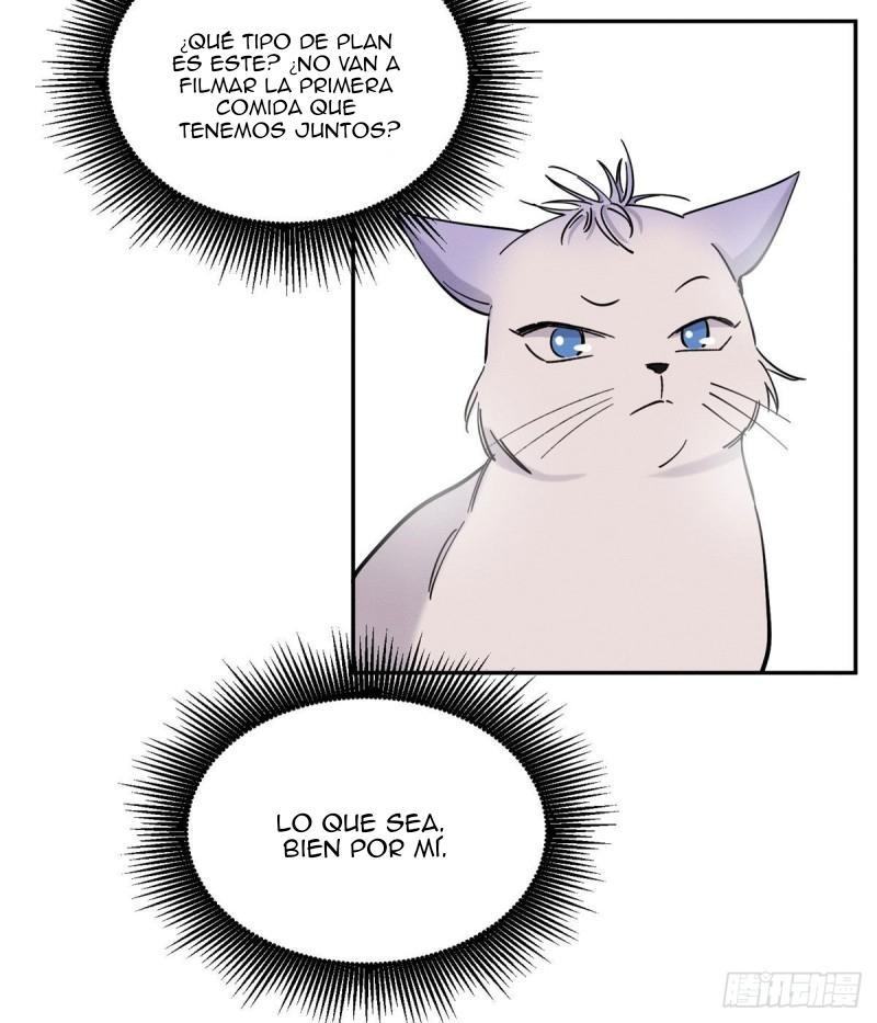 Tengo que trabajar duro para ser un gato hoy! - capitulo 39 manhwa