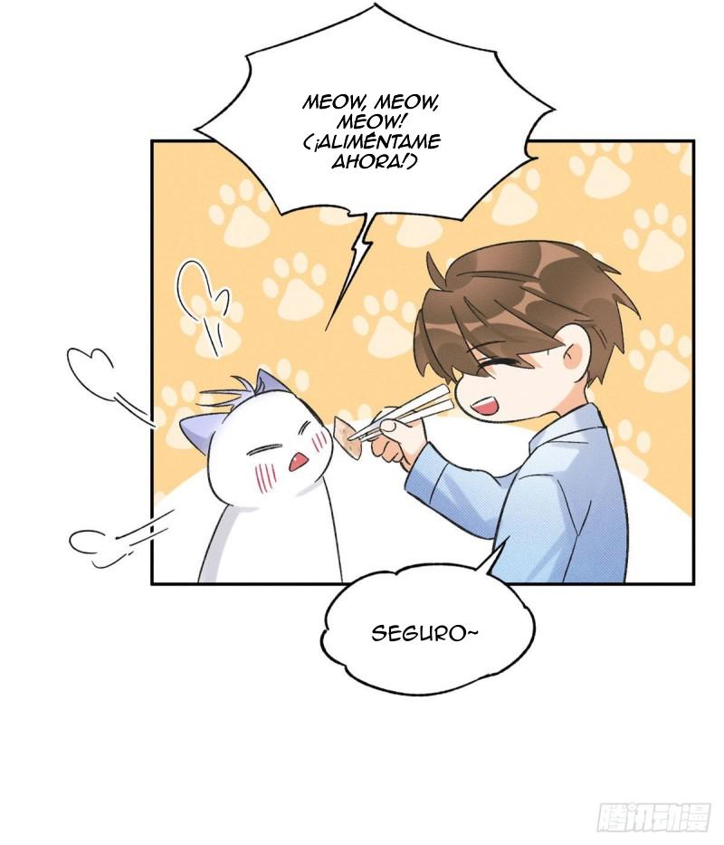 Tengo que trabajar duro para ser un gato hoy! - capitulo 39 manhwa