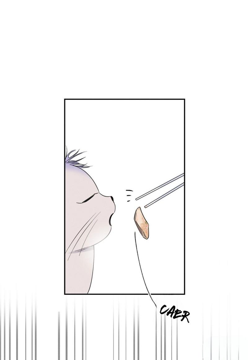 Tengo que trabajar duro para ser un gato hoy! - capitulo 39 manhwa