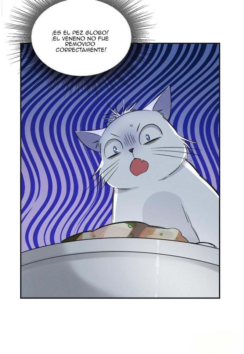 Tengo que trabajar duro para ser un gato hoy! - capitulo 39 manhwa