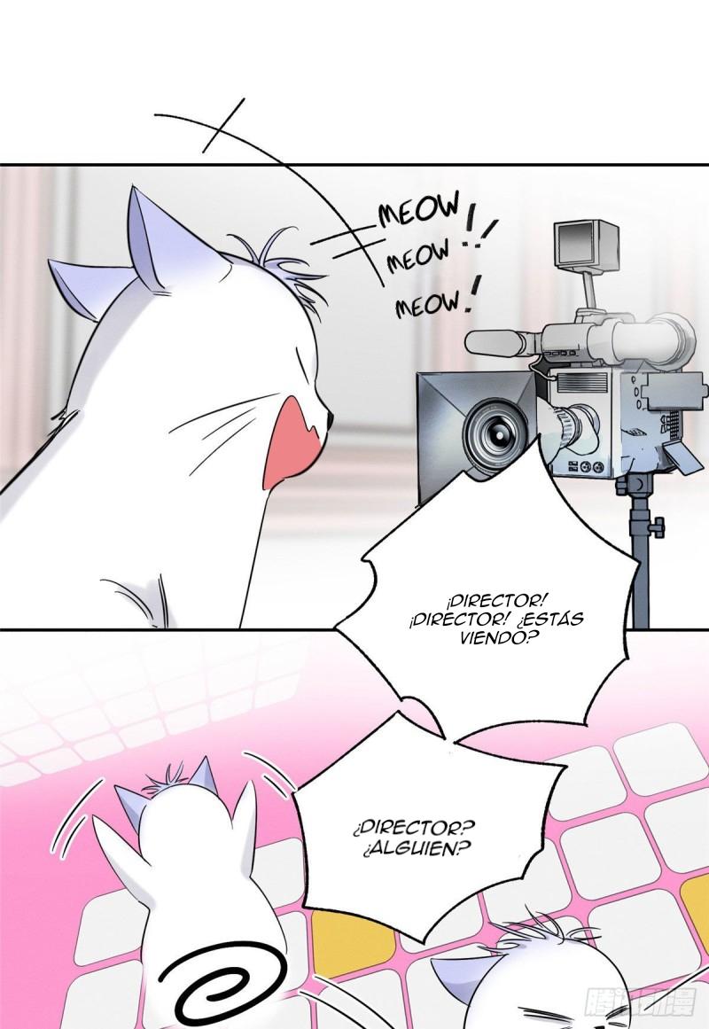Tengo que trabajar duro para ser un gato hoy! - capitulo 39 manhwa
