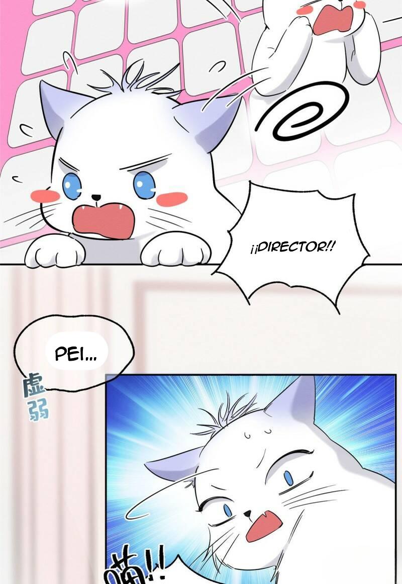 Tengo que trabajar duro para ser un gato hoy! - capitulo 39 manhwa