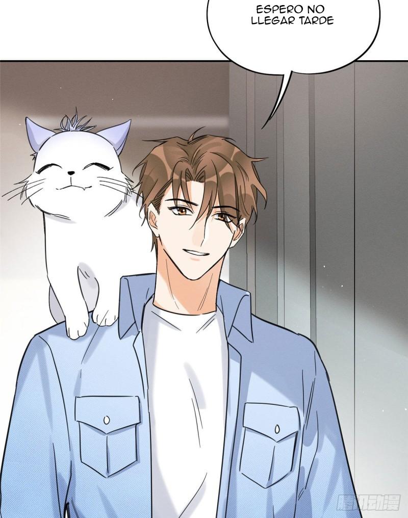 Tengo que trabajar duro para ser un gato hoy! - capitulo 39 manhwa