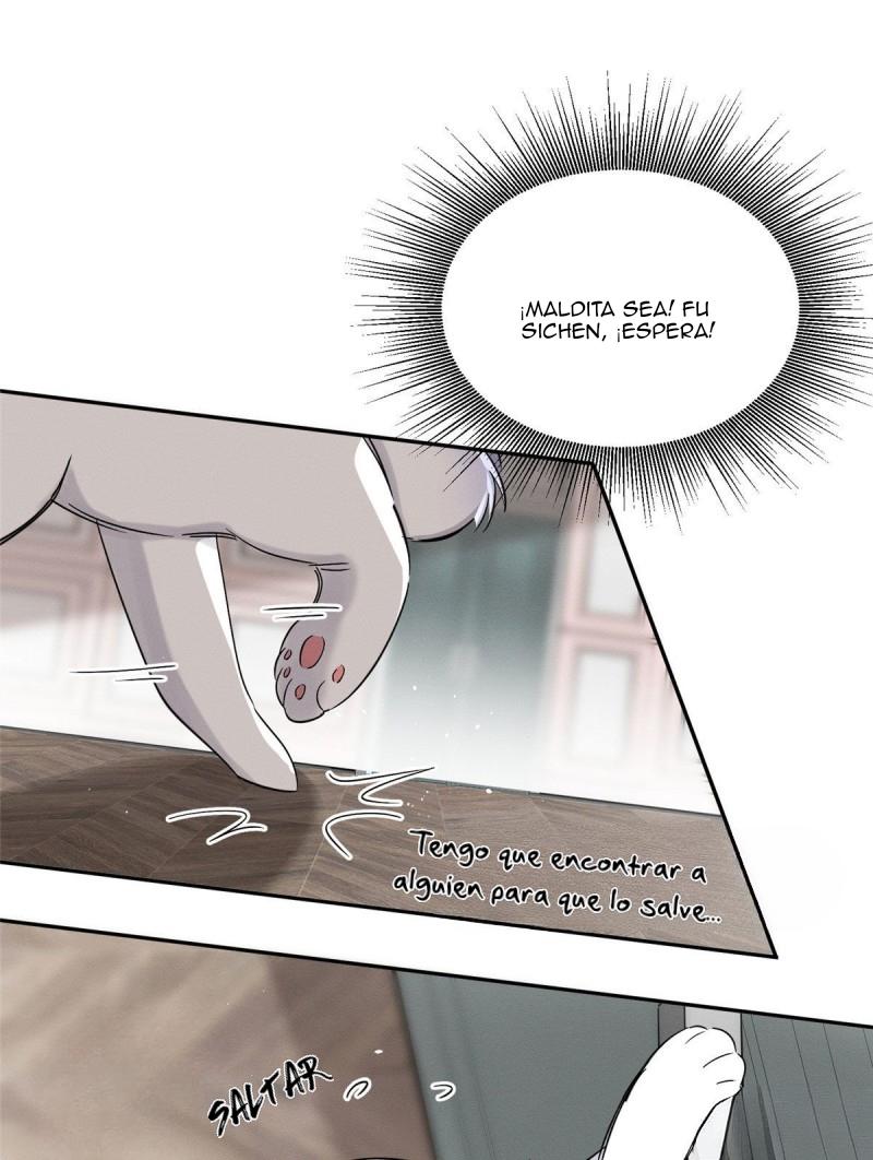 Tengo que trabajar duro para ser un gato hoy! - capitulo 39 manhwa
