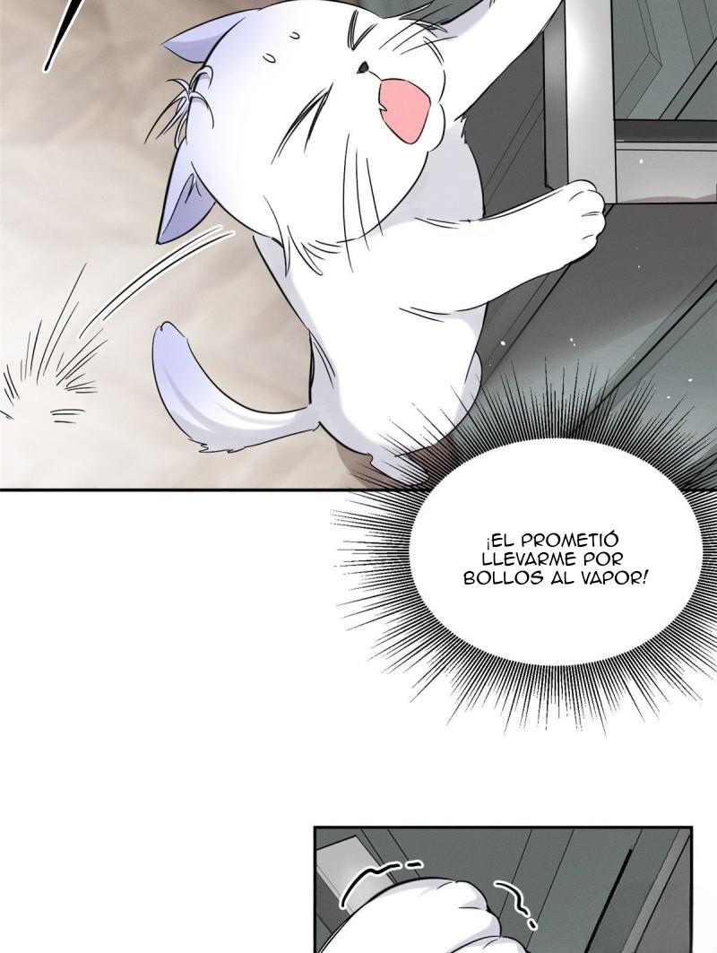 Tengo que trabajar duro para ser un gato hoy! - capitulo 39 manhwa