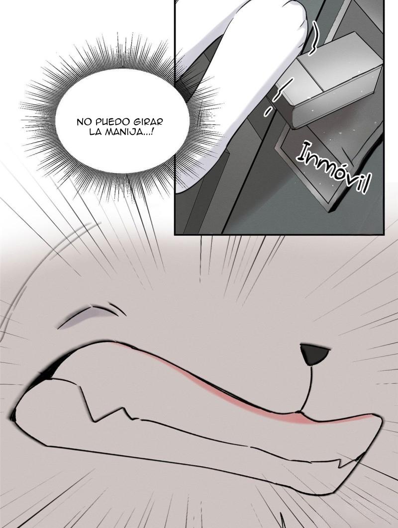 Tengo que trabajar duro para ser un gato hoy! - capitulo 39 manhwa
