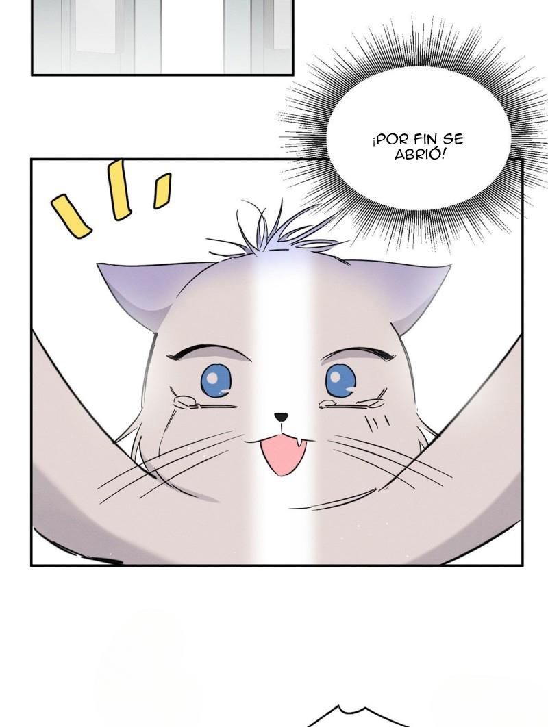Tengo que trabajar duro para ser un gato hoy! - capitulo 39 manhwa