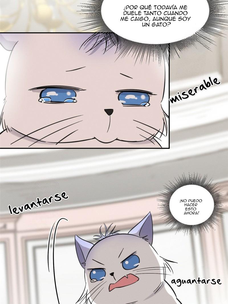 Tengo que trabajar duro para ser un gato hoy! - capitulo 39 manhwa