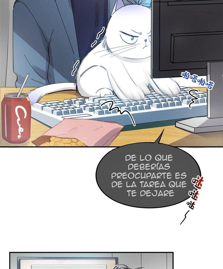 Tengo que trabajar duro para ser un gato hoy! - capitulo 10 manhwa