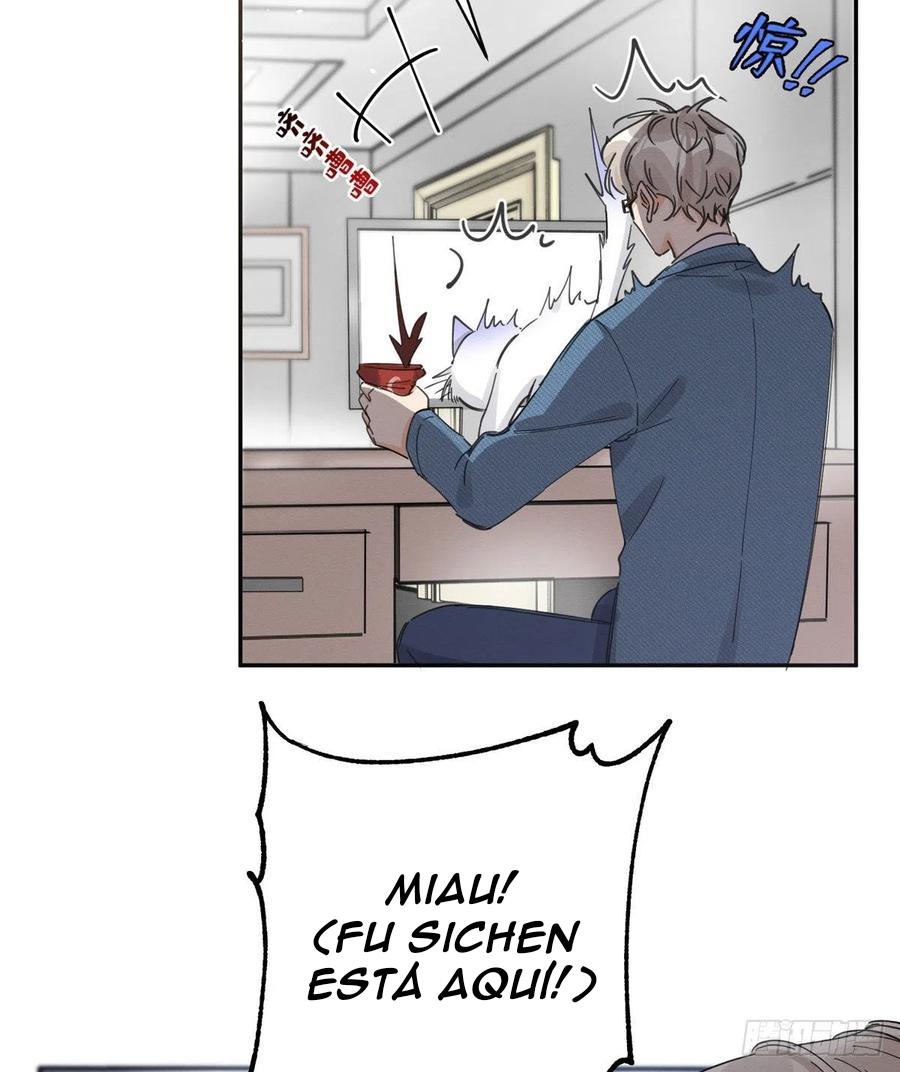 Tengo que trabajar duro para ser un gato hoy! - capitulo 10 manhwa