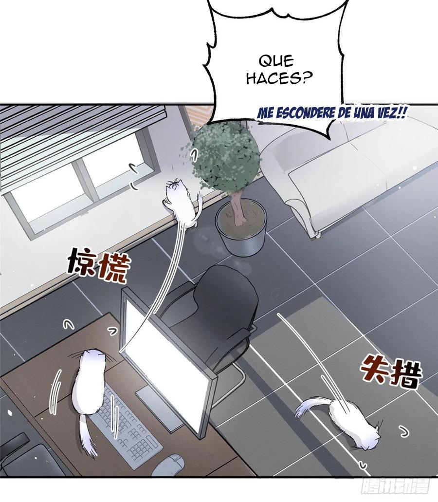 Tengo que trabajar duro para ser un gato hoy! - capitulo 10 manhwa