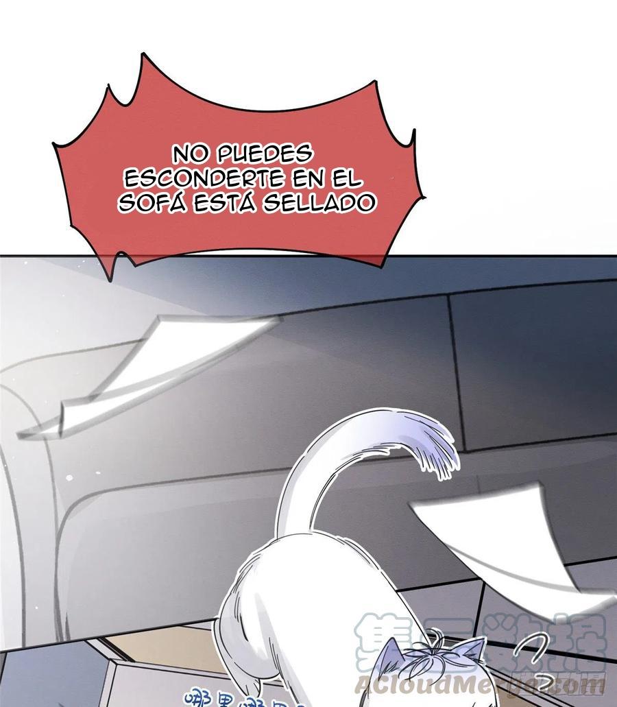 Tengo que trabajar duro para ser un gato hoy! - capitulo 10 manhwa