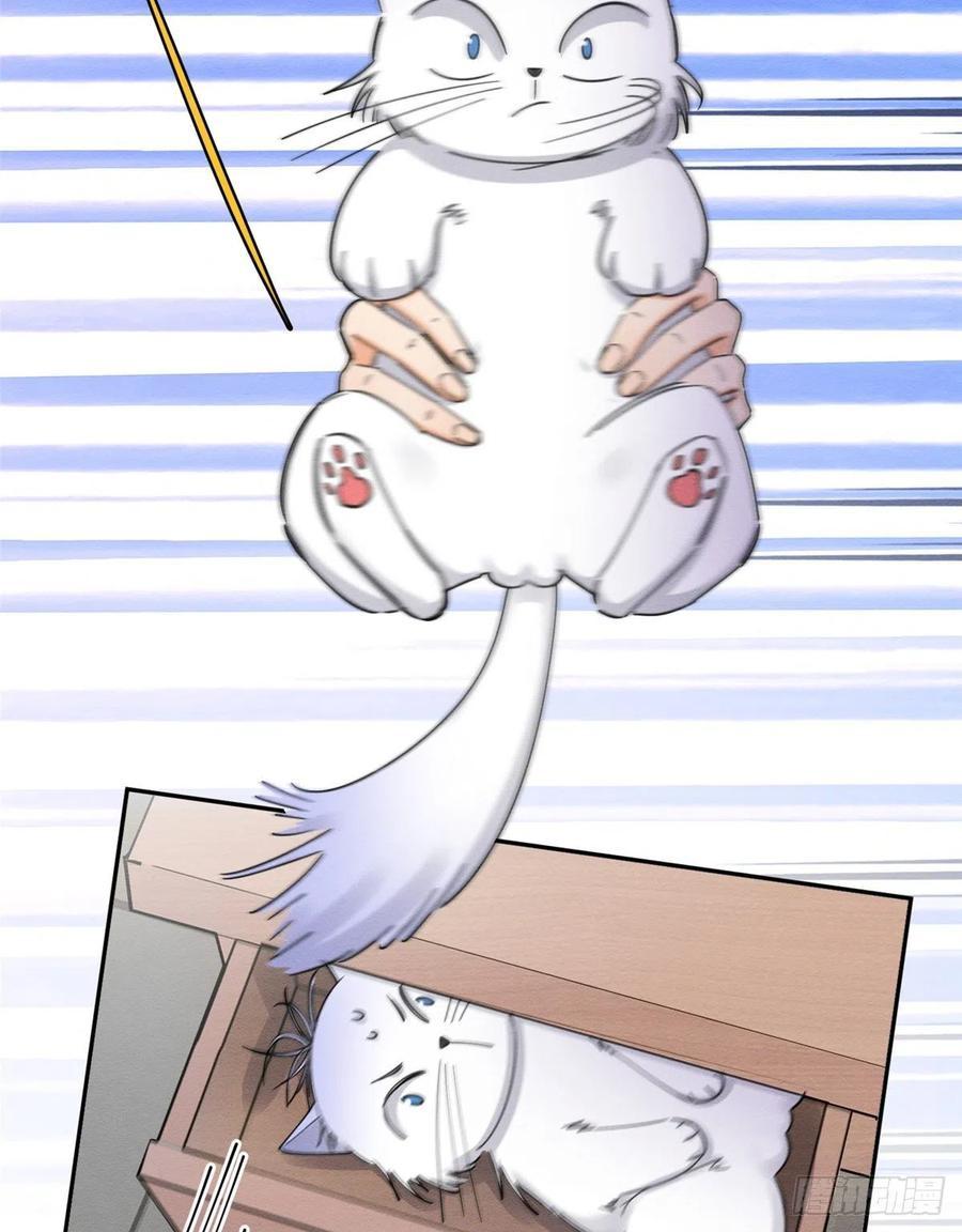 Tengo que trabajar duro para ser un gato hoy! - capitulo 10 manhwa