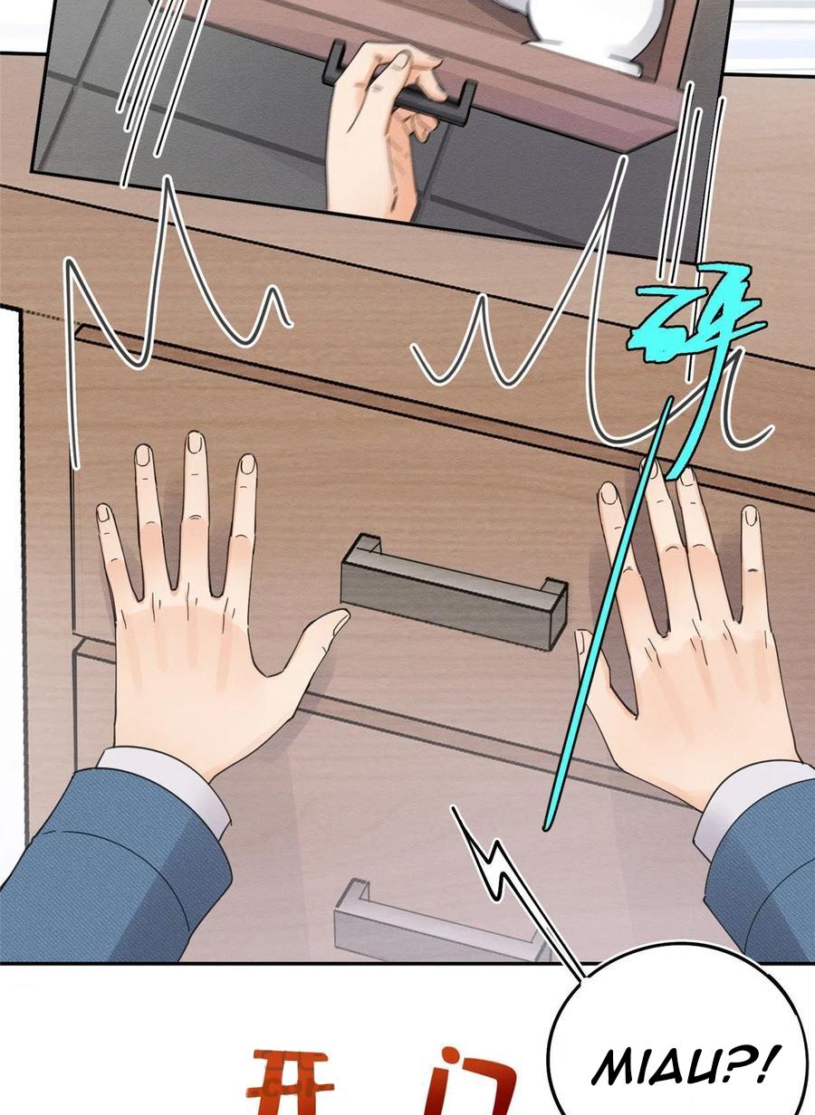 Tengo que trabajar duro para ser un gato hoy! - capitulo 10 manhwa