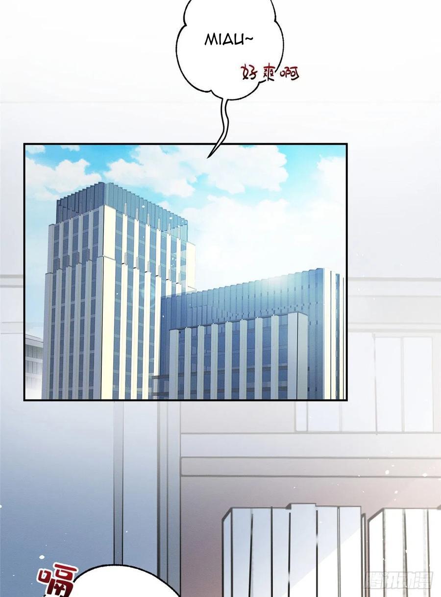 Tengo que trabajar duro para ser un gato hoy! - capitulo 10 manhwa