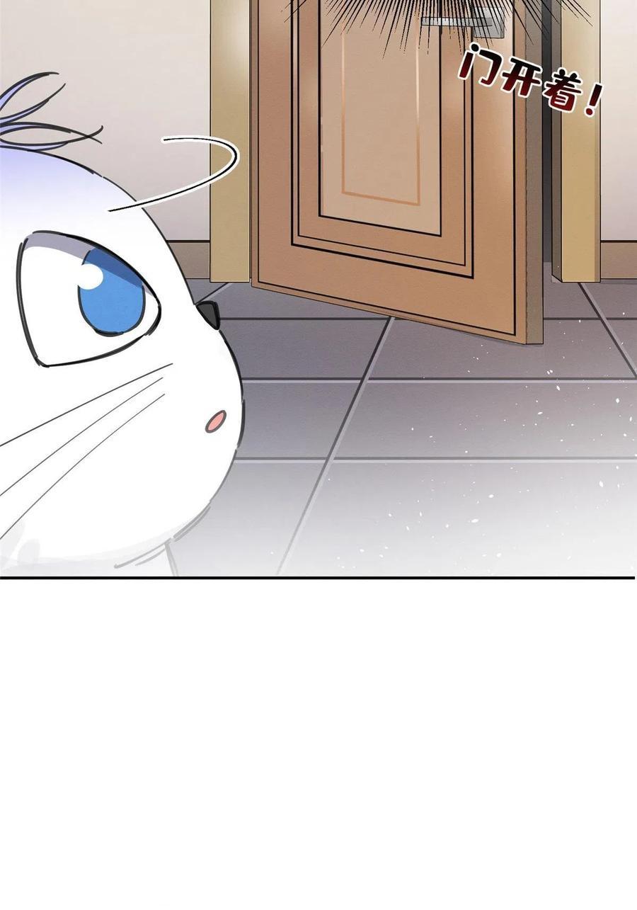 Tengo que trabajar duro para ser un gato hoy! - capitulo 6 manhwa