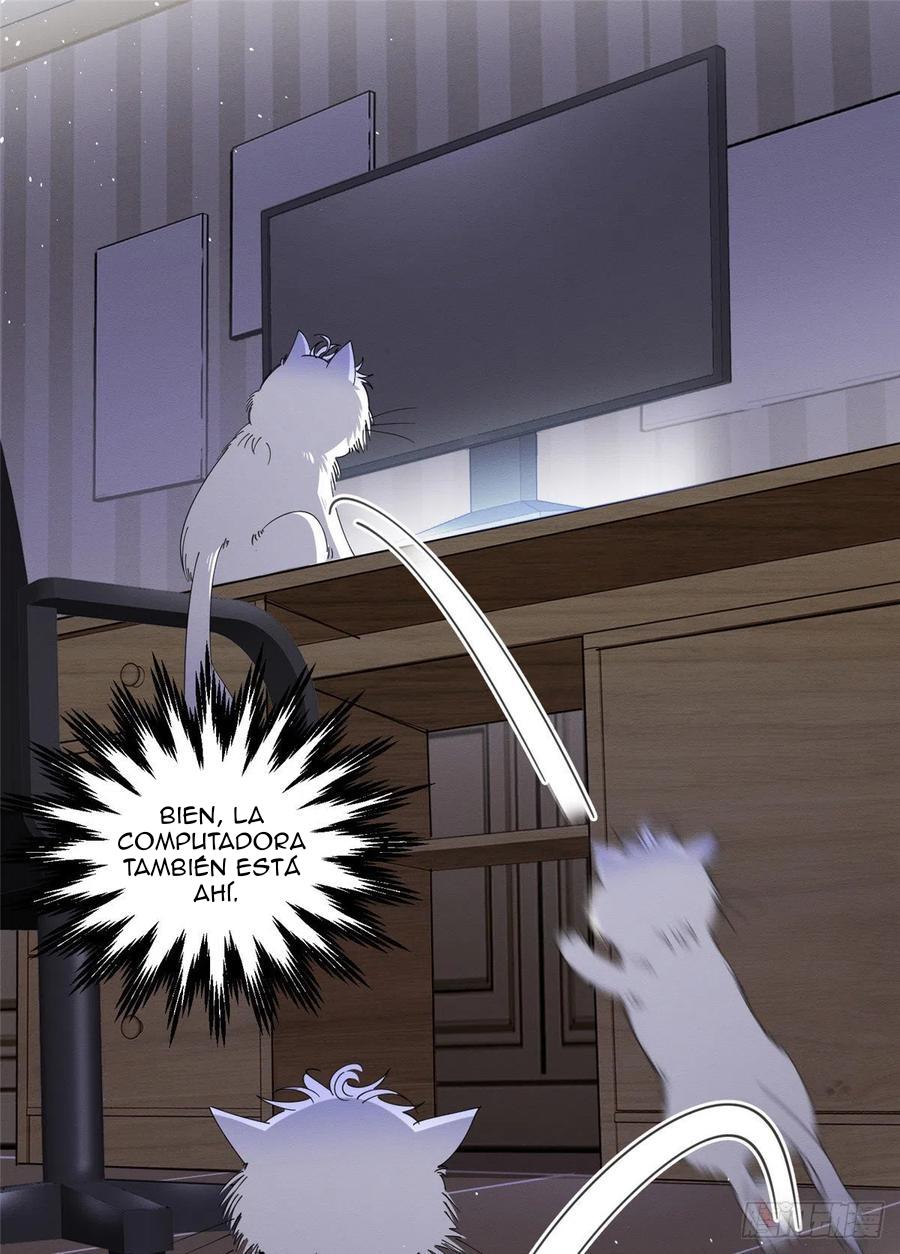Tengo que trabajar duro para ser un gato hoy! - capitulo 6 manhwa