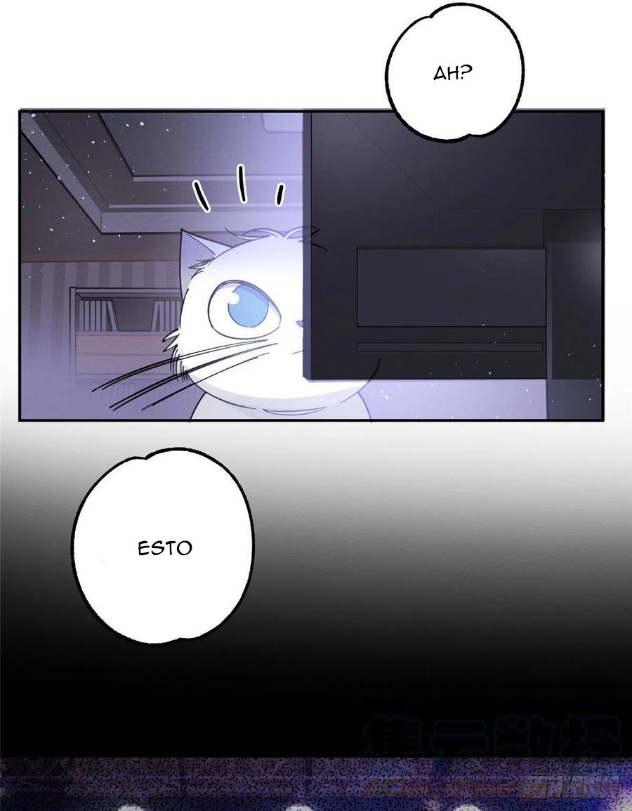 Tengo que trabajar duro para ser un gato hoy! - capitulo 6 manhwa