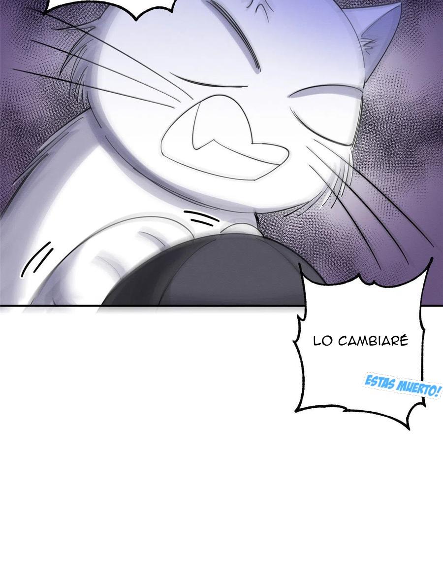 Tengo que trabajar duro para ser un gato hoy! - capitulo 6 manhwa