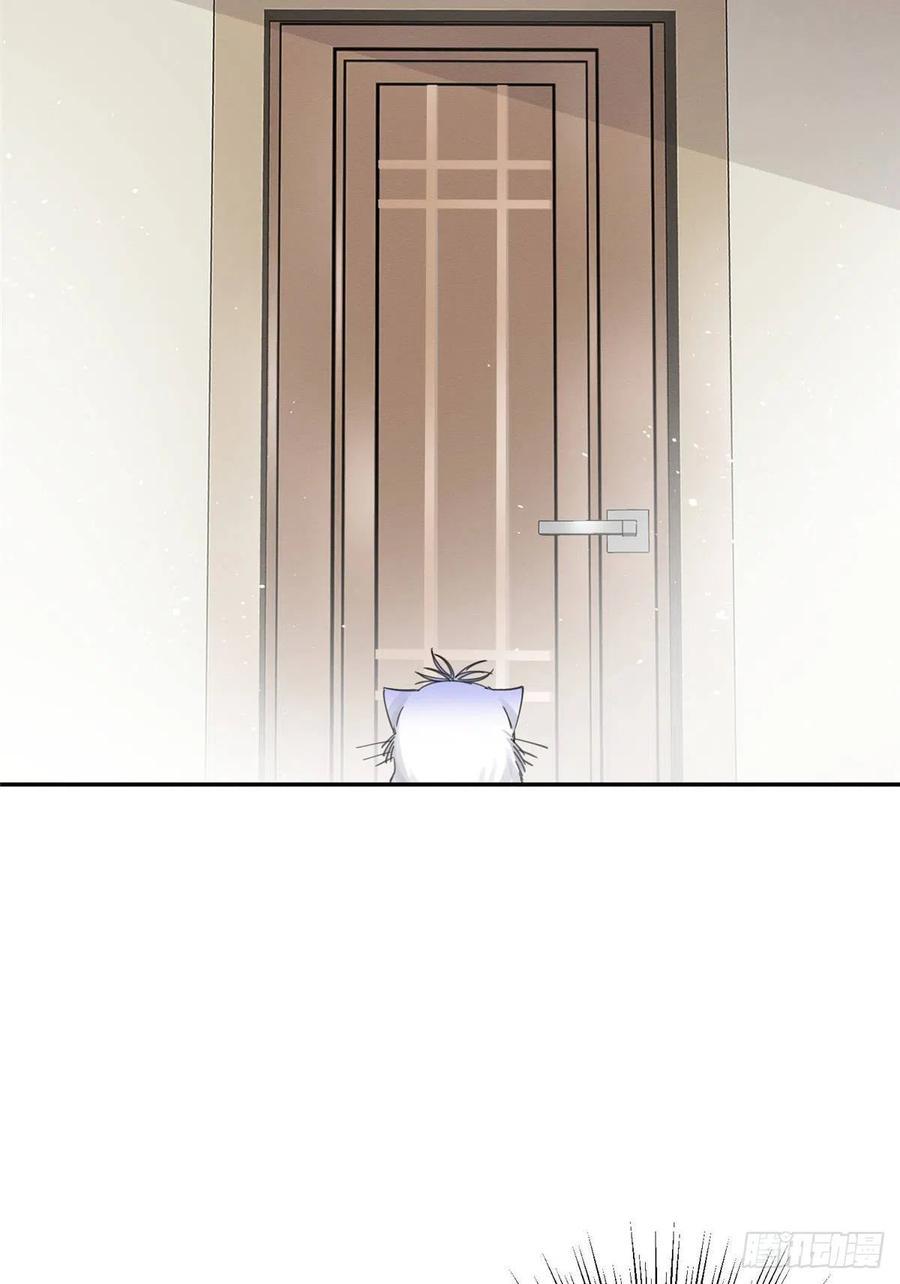 Tengo que trabajar duro para ser un gato hoy! - capitulo 6 manhwa
