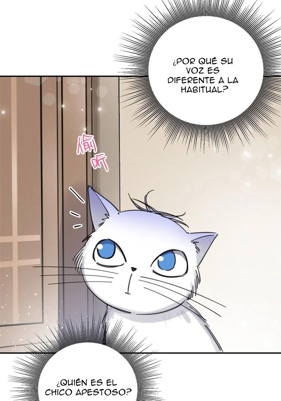 Tengo que trabajar duro para ser un gato hoy! - capitulo 6 manhwa