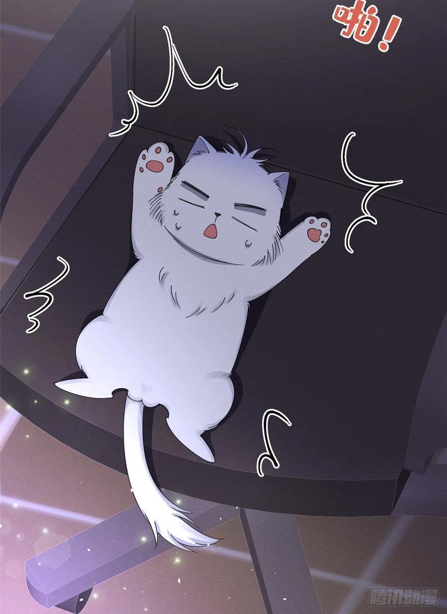 Tengo que trabajar duro para ser un gato hoy! - capitulo 6 manhwa