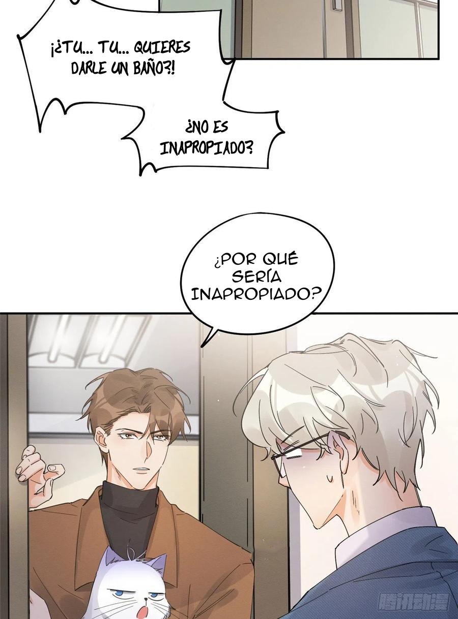 Tengo que trabajar duro para ser un gato hoy! - capitulo 12 manhwa