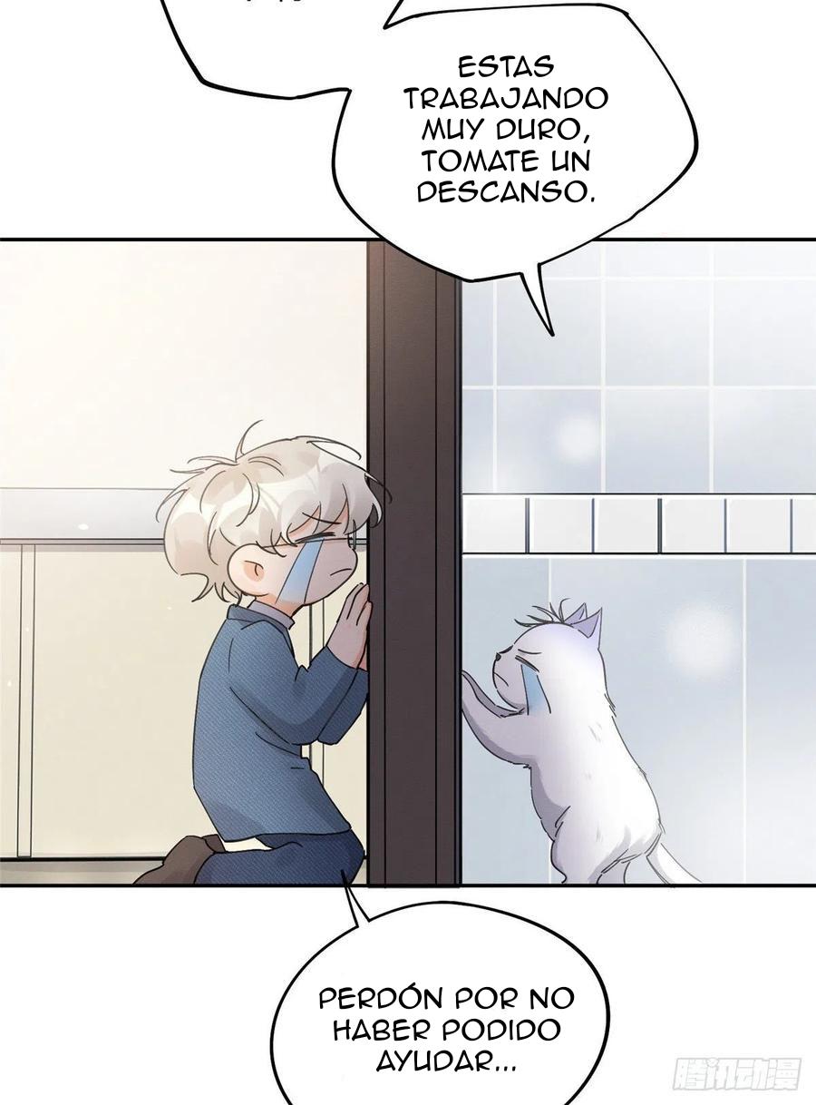 Tengo que trabajar duro para ser un gato hoy! - capitulo 12 manhwa