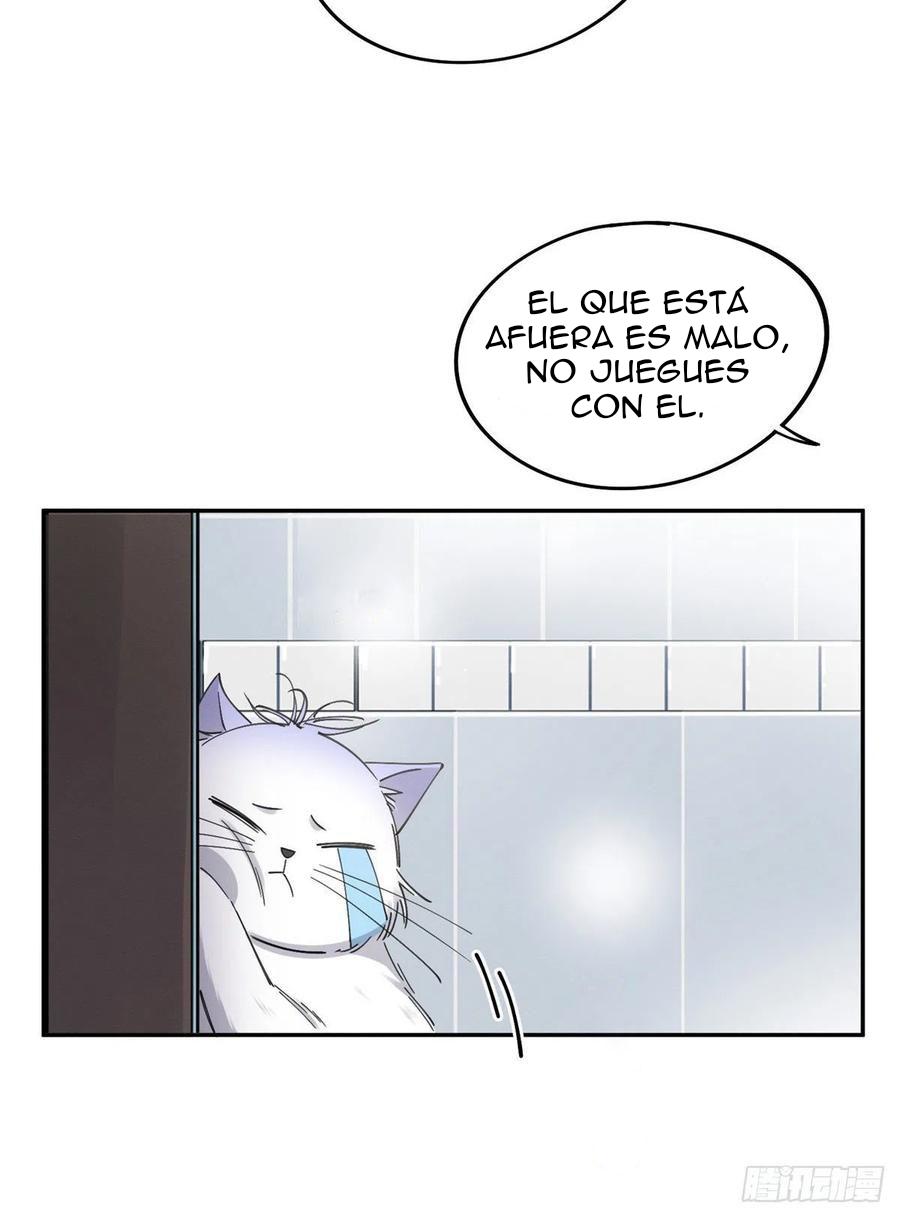 Tengo que trabajar duro para ser un gato hoy! - capitulo 12 manhwa