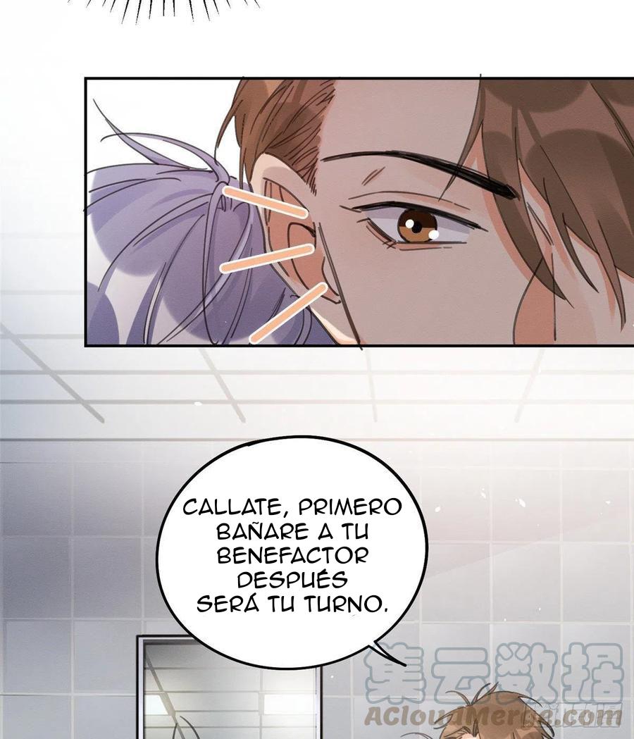 Tengo que trabajar duro para ser un gato hoy! - capitulo 12 manhwa