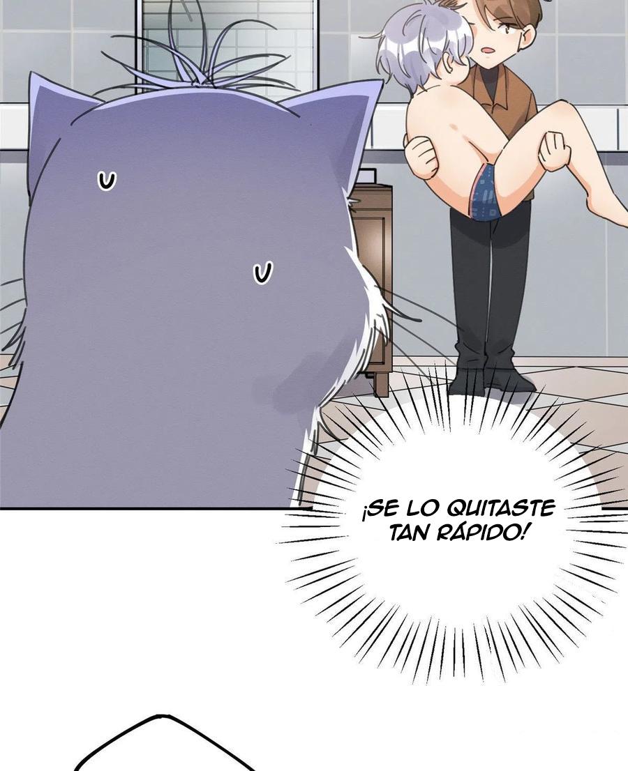 Tengo que trabajar duro para ser un gato hoy! - capitulo 12 manhwa