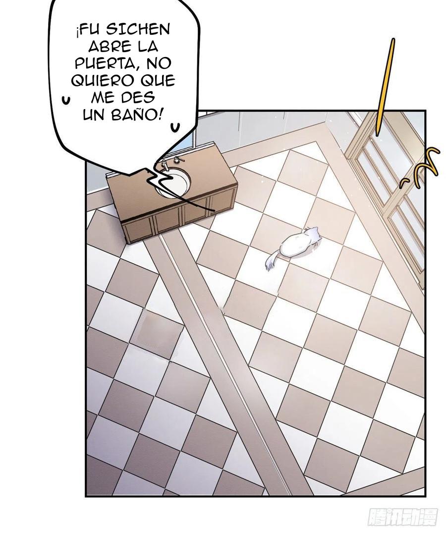 Tengo que trabajar duro para ser un gato hoy! - capitulo 12 manhwa